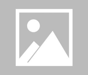 爱游戏-包含德约科维奇在切尔西比赛中挺进下一轮，连败引发热议！的词条